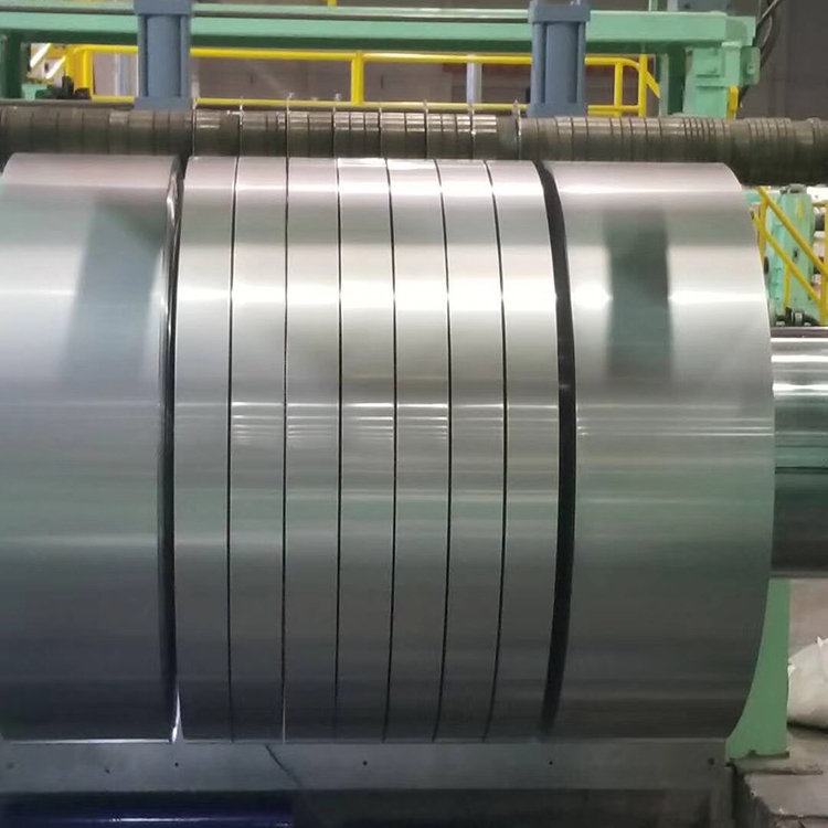 Stainless Steel Strip (5)