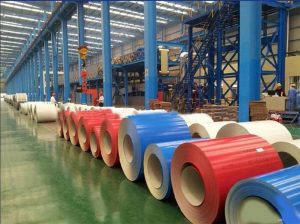 Color Coated Steel Coils